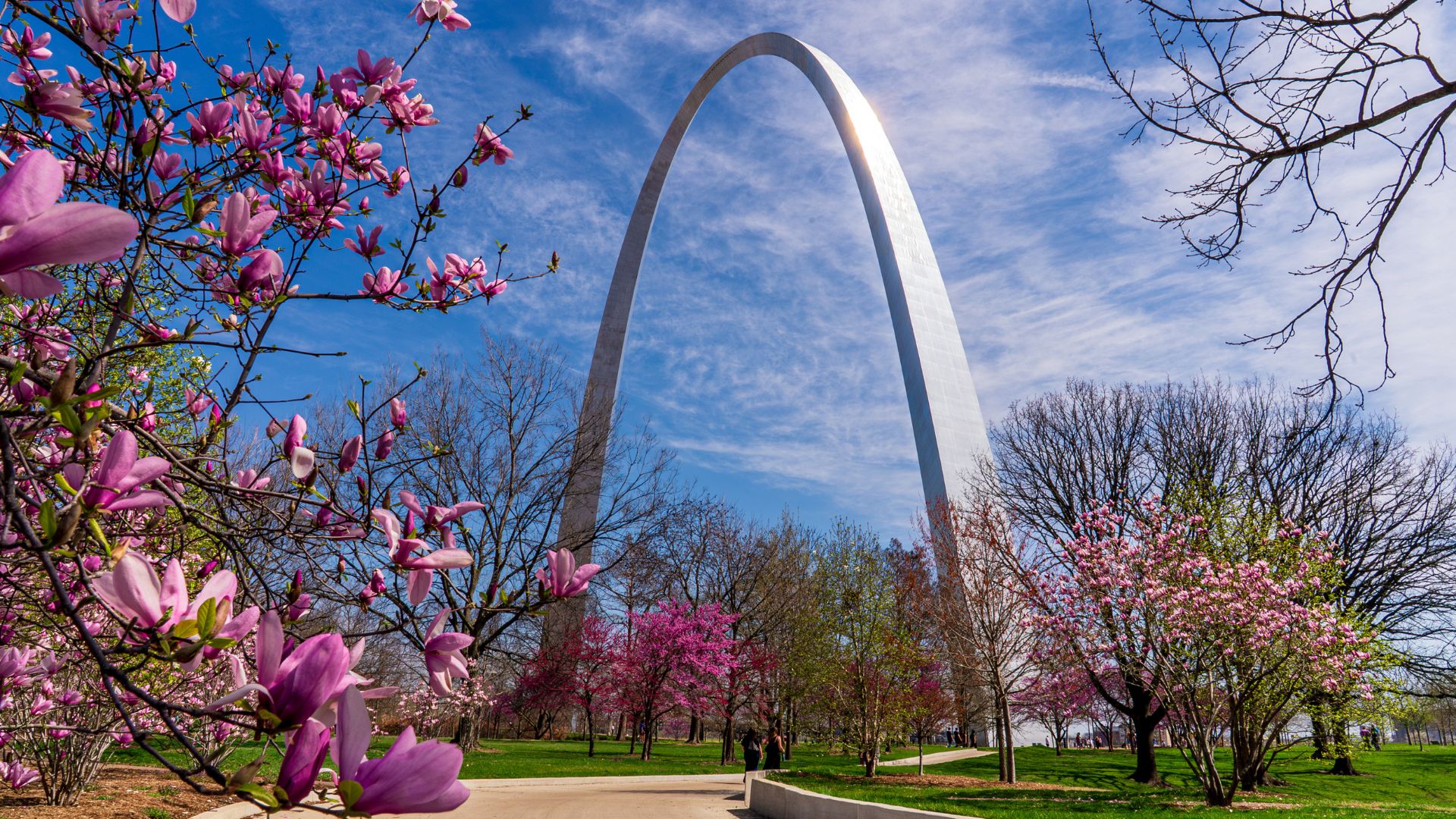 the St. Louis Arch